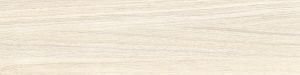 14860f15-5007-11ef-bbff-d85ed3e5e4b1