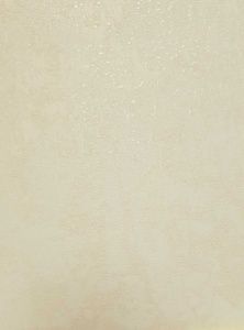 Screenshot_1