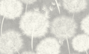 Screenshot_2
