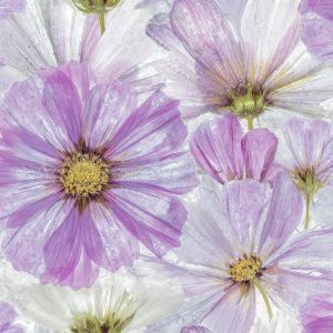 1154_image_big
