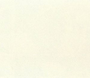Screenshot_496