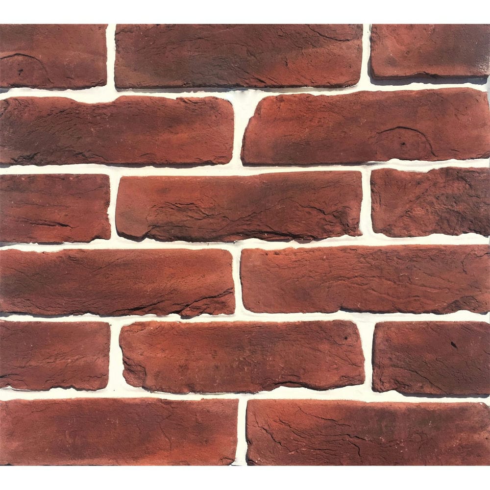 00577446